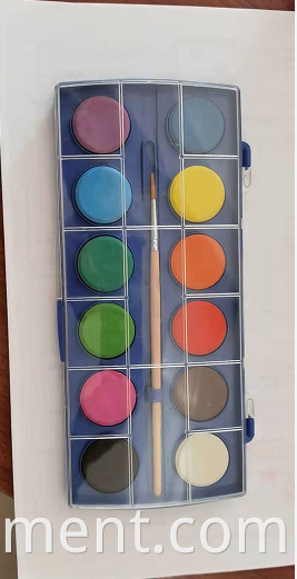 12 Color Pigment